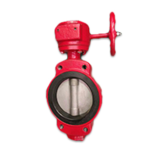 Centric Wafer Type Manually Operated Butterfly Valve2