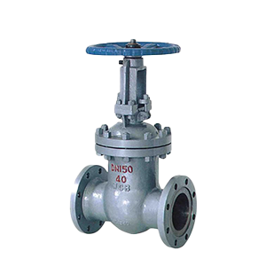 Gate Valve1