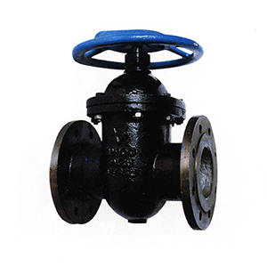 Gate Valve2