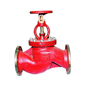 Ship Side Stop Check Valve