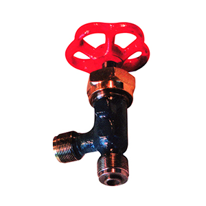Stop Check Valve