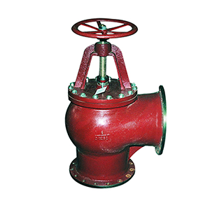 Stop Check Valve2